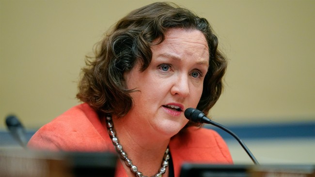 Katie Porter Tries to Change Her Image With New Ad
