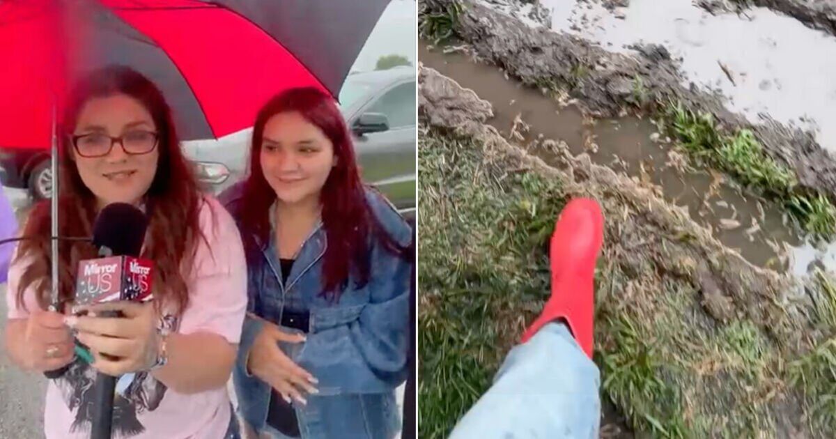 Kid Rock fans left stranded in rain as music fest risks | Music News