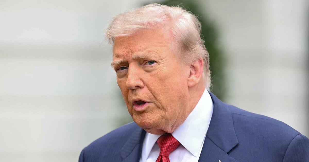 MAGA strikes back as Trump-backed candidates sweep | Political News