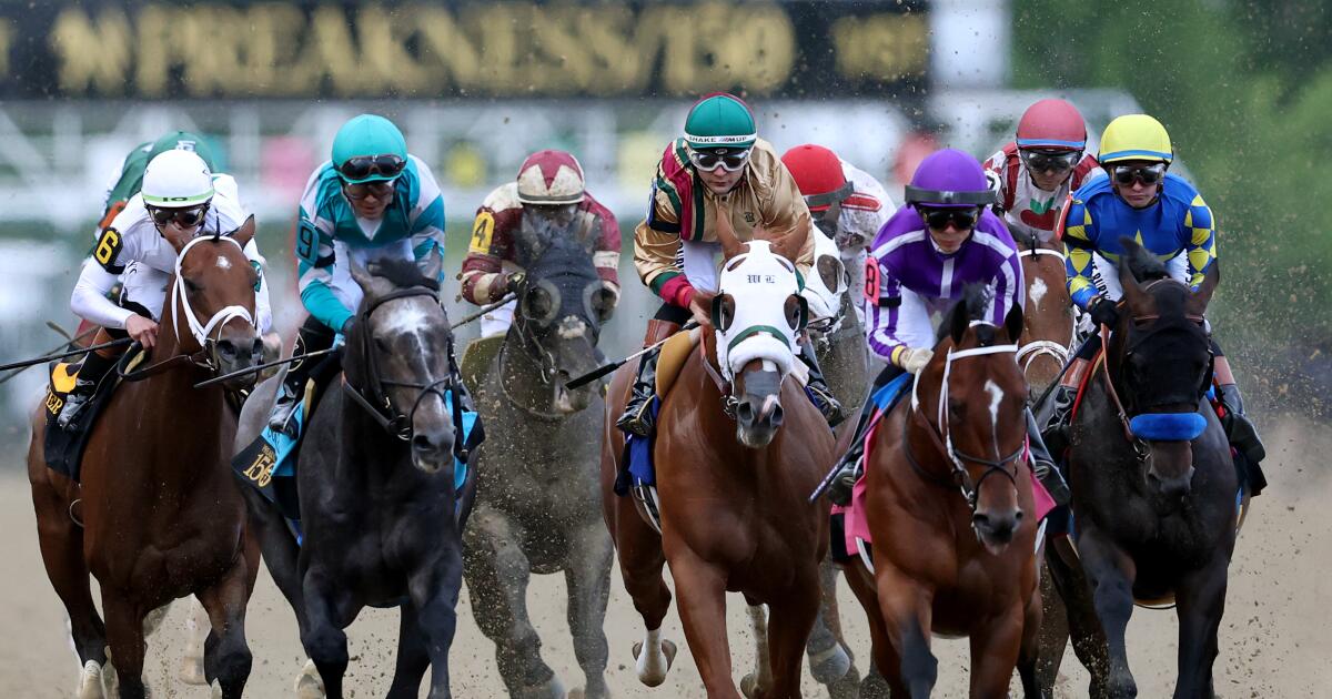 Preakness draw: Female trainer looks to make