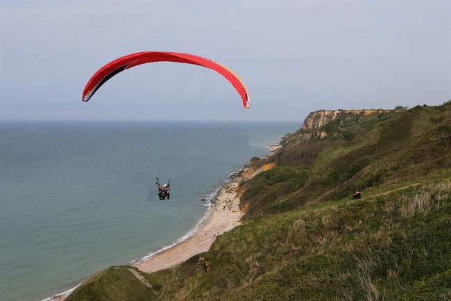 Sightseeing Plane Cuts Woman's Paragliding Lines