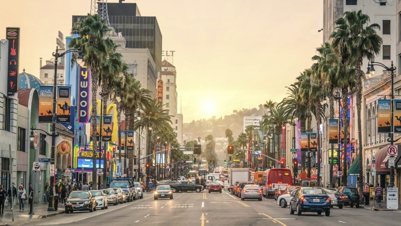 This Year Marks A New Chapter As NeedTags | Gossip Wire