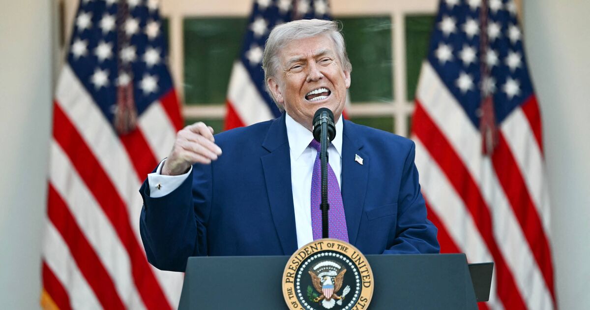 Trump calls for Obama to be arrested for treason | Political News