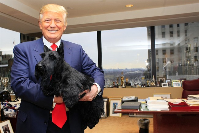 Trump Hilariously Roasts Biden’s Bite-Happy
