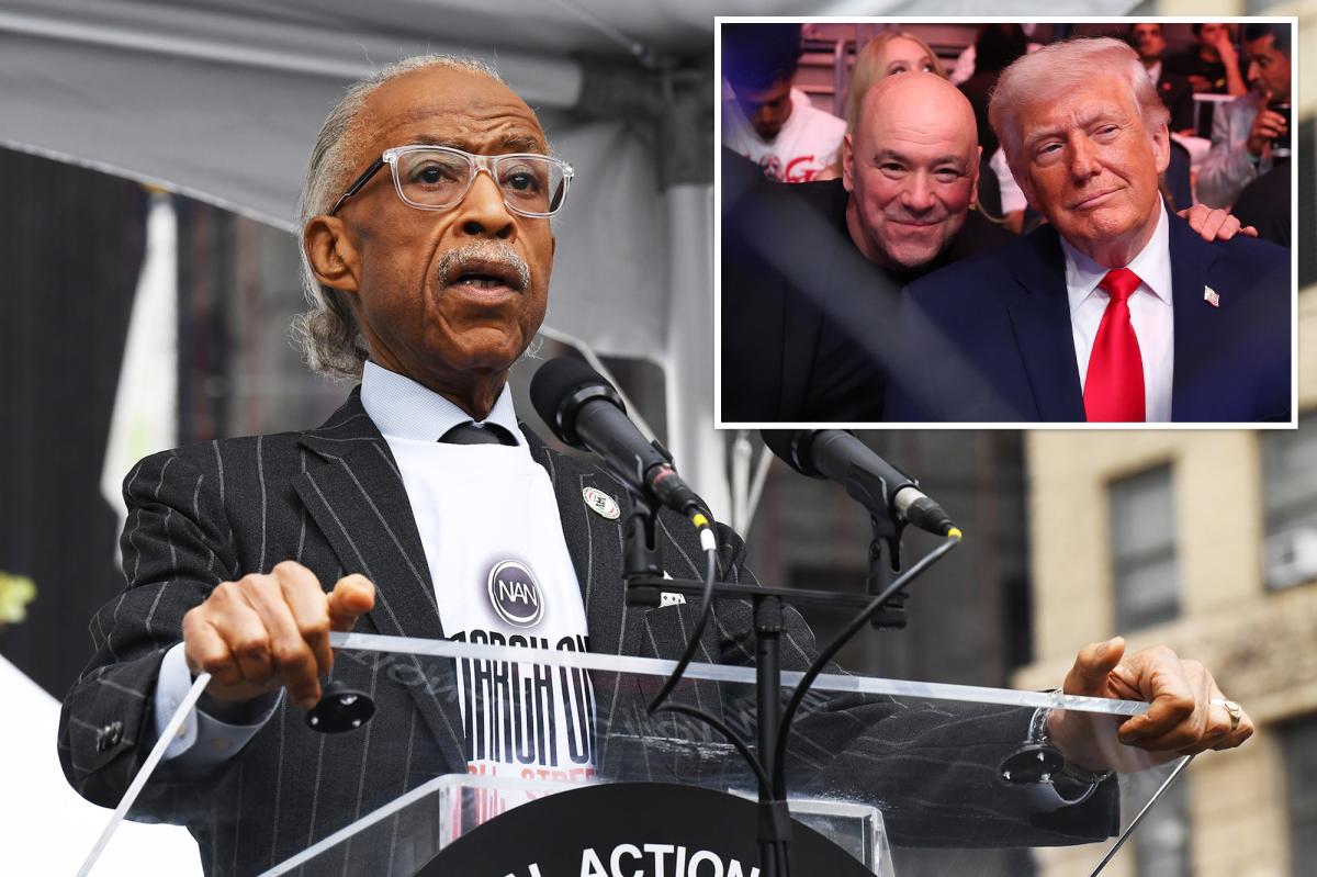 Al Sharpton bizarely likens White House UFC event | Gossip Wire