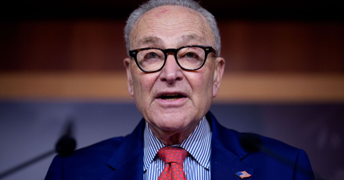 Chuck Schumer faces revolt as Democrats push for | Political News
