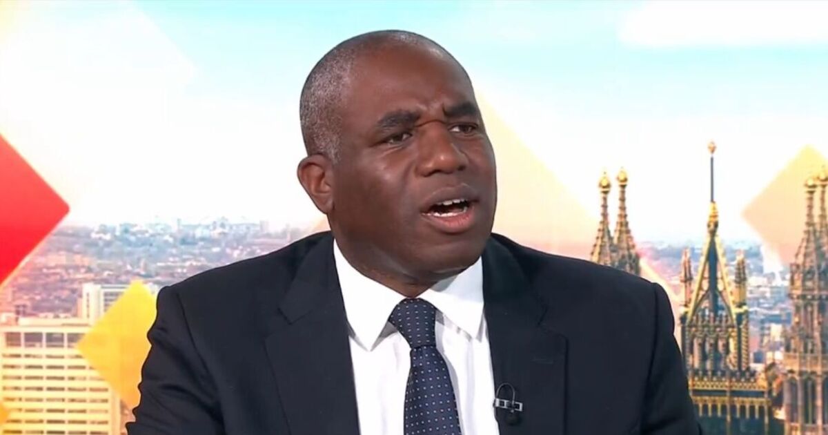 David Lammy's one sentence in Gossip Wire News 'car crash' | UK News