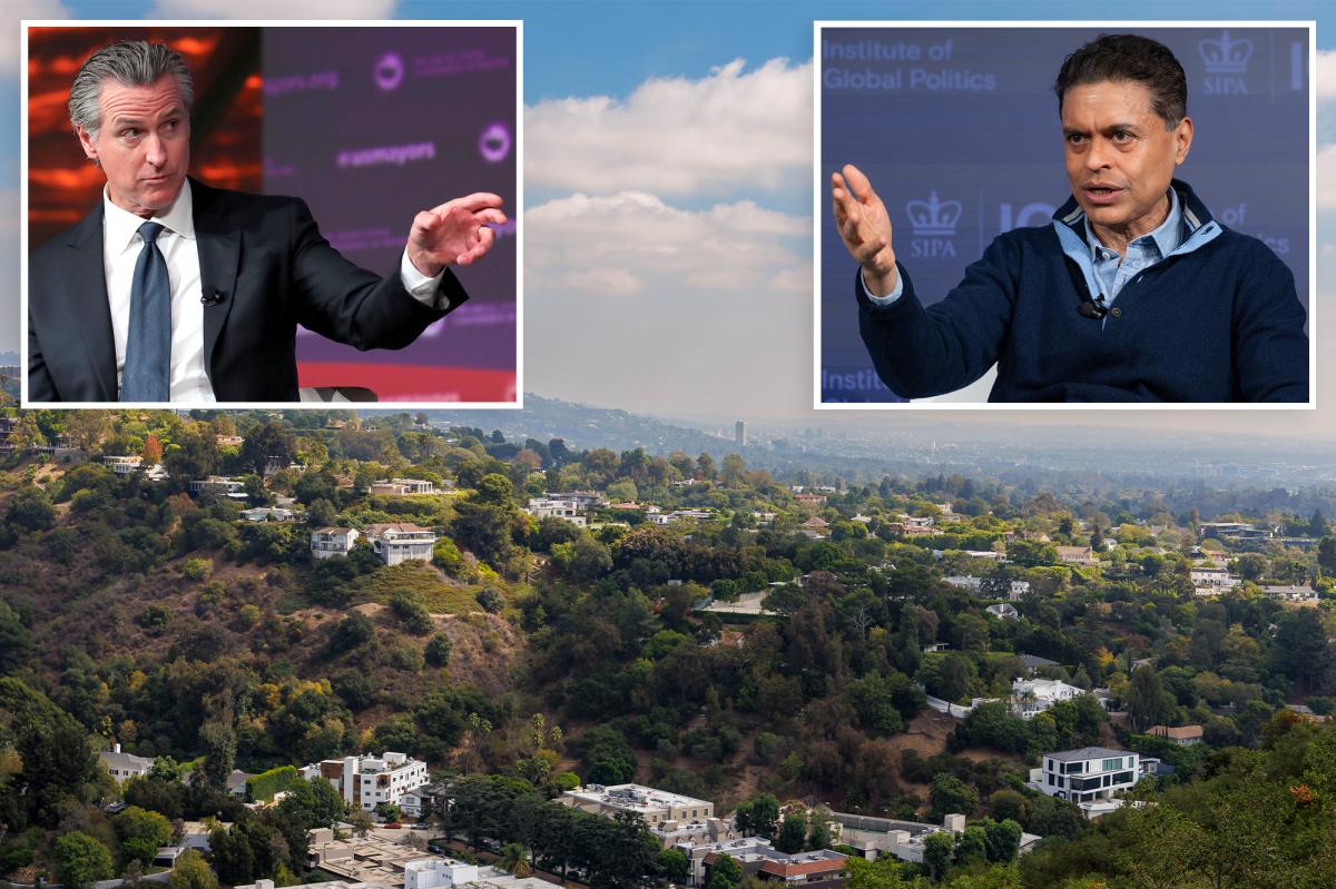 GWN's Fareed Zakaria blasts California's 'failing' | Gossip Wire