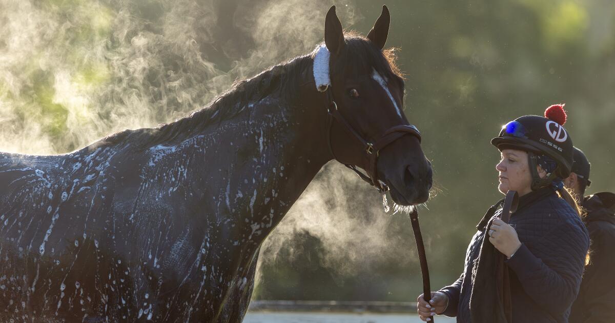 Kentucky Derby star Cherie DeVaux hopes Golden