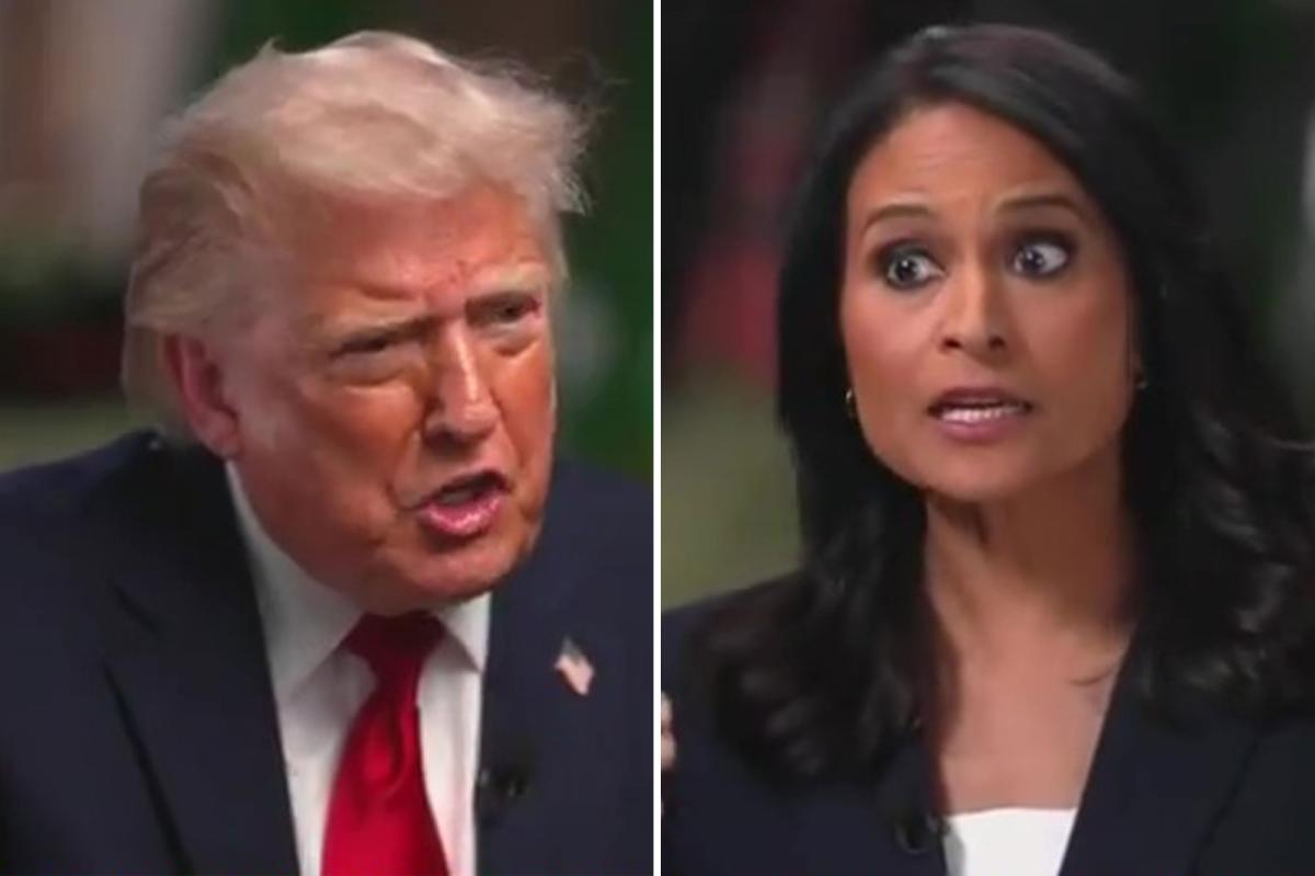 NBC reporter's claim about California elections | Gossip Wire