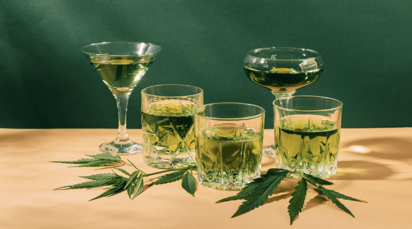 The Clear Alternative to liquor: Why More Adults | Gossip Wire