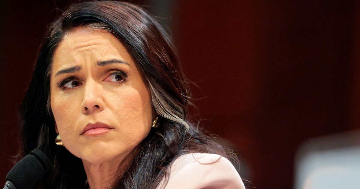 Tulsi Gabbard torches Biden-era findings on