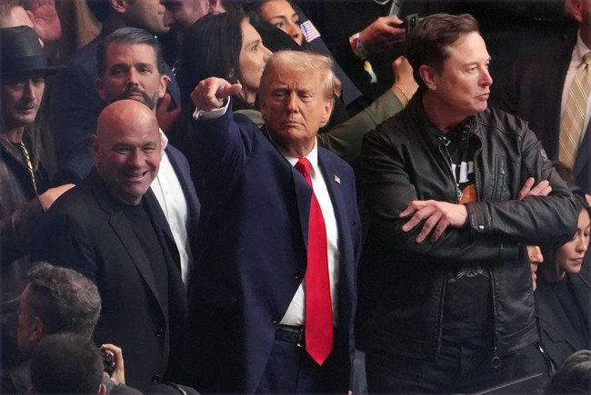 Why a UFC Octagon on the White House Lawn Is the