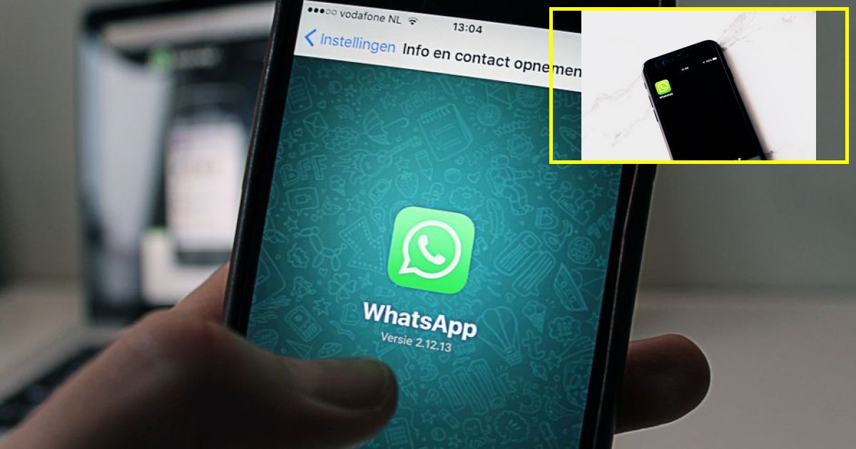 WhatsApp slammed for dizzying new feature — heres how to disable
