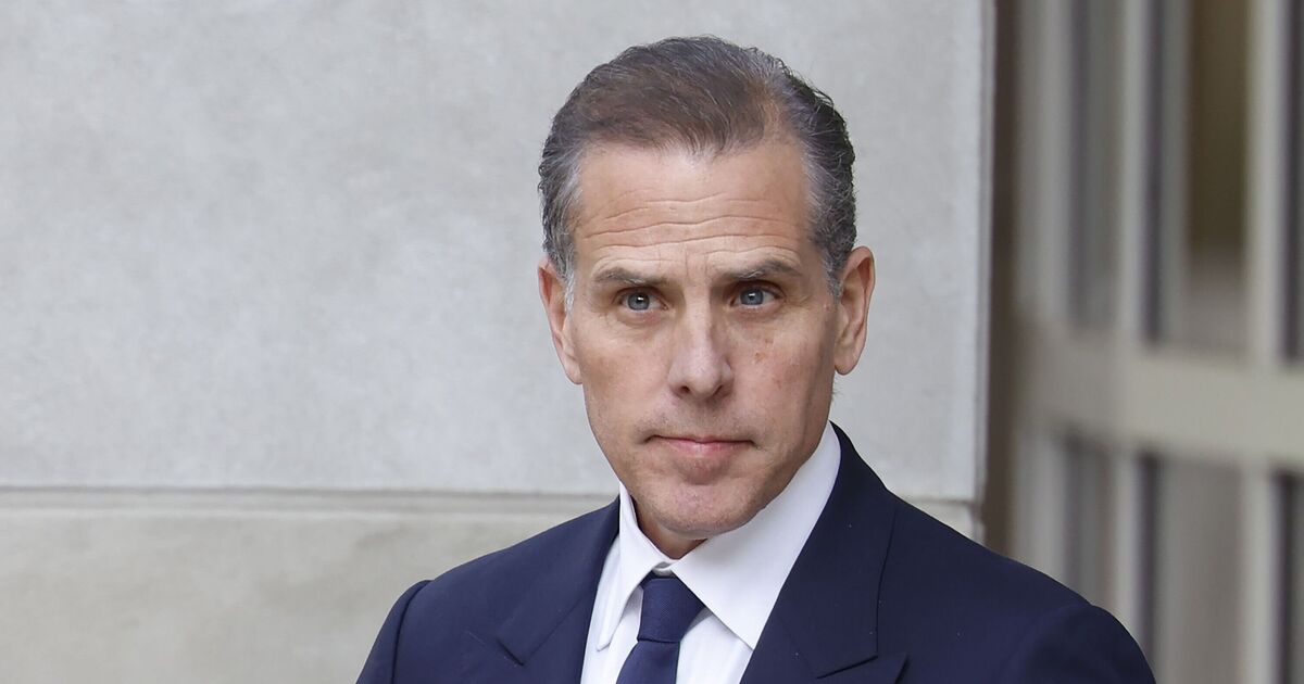 Hunter Biden slammed for bringing Trump into | Political News
