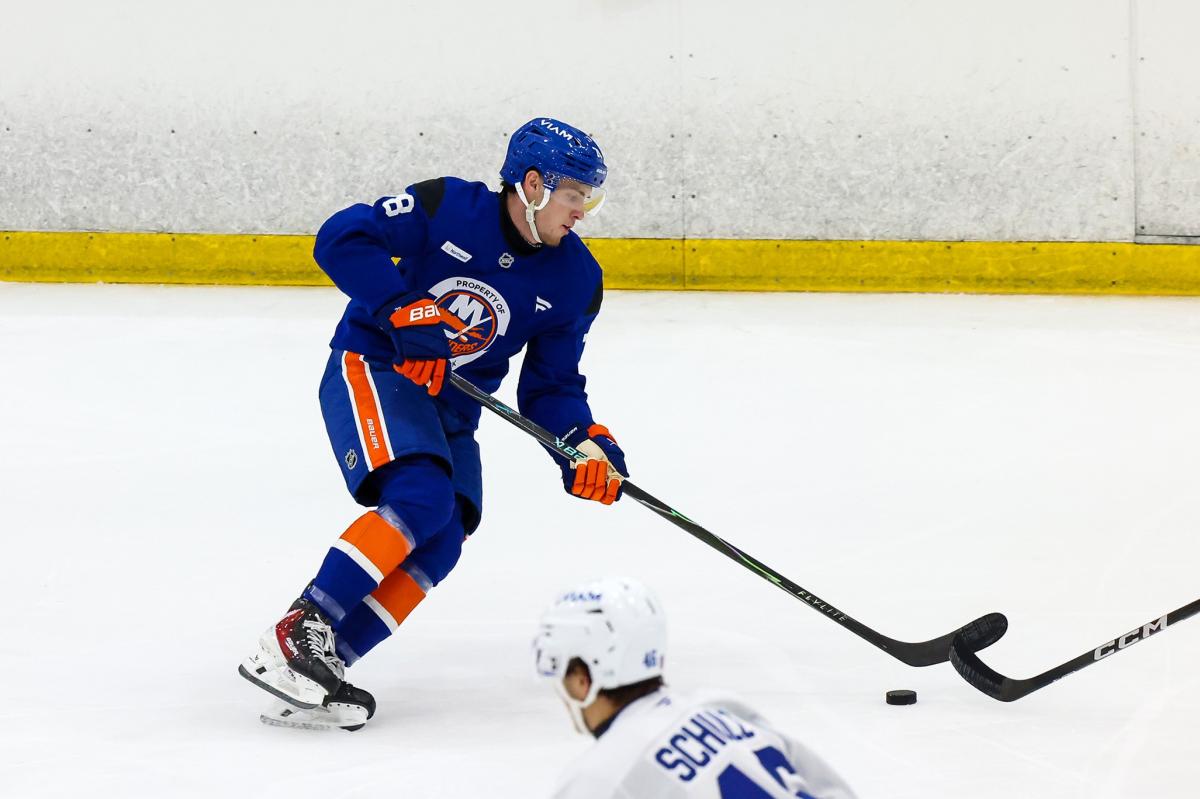 Islanders first-rounder Malte Gustafsson signs | Sports News