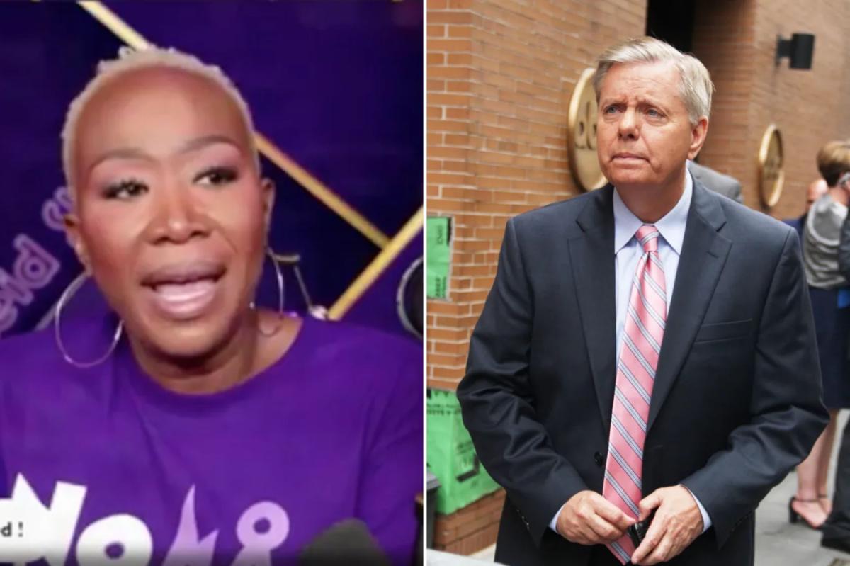Joy Reid has vile tirade about Lindsey Graham | Gossip Wire