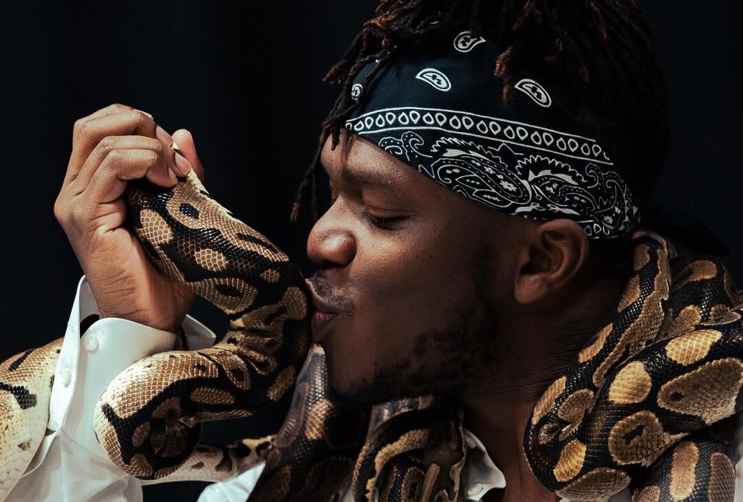 KSI and IShowSpeed Attend the FIFA World Cup | Gossip Wire News