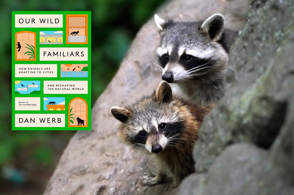 Wild animals are adapting to our cities | Lifestyle News