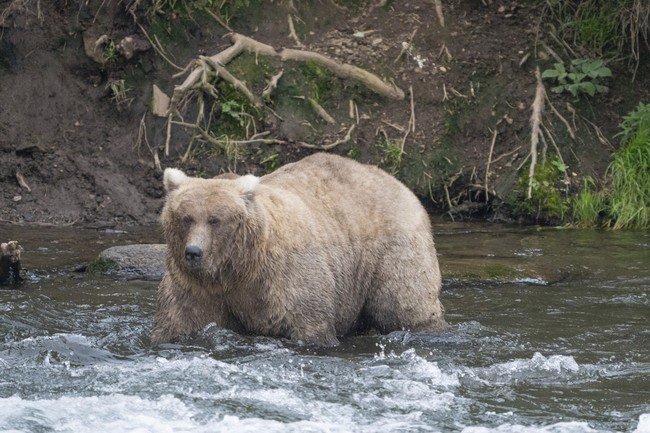 Hikers Survive Heart-Stopping Face-Off With Mighty