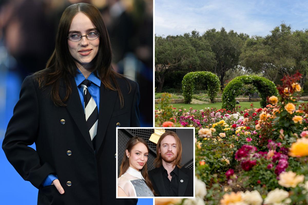 Billie Eilish mocked for hosting brother Finneas
