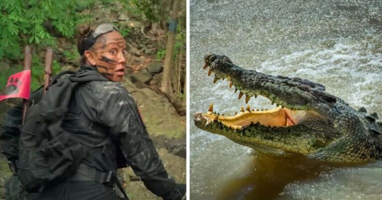 Spice Girl Mel B chased by giant crocodile 'seconds