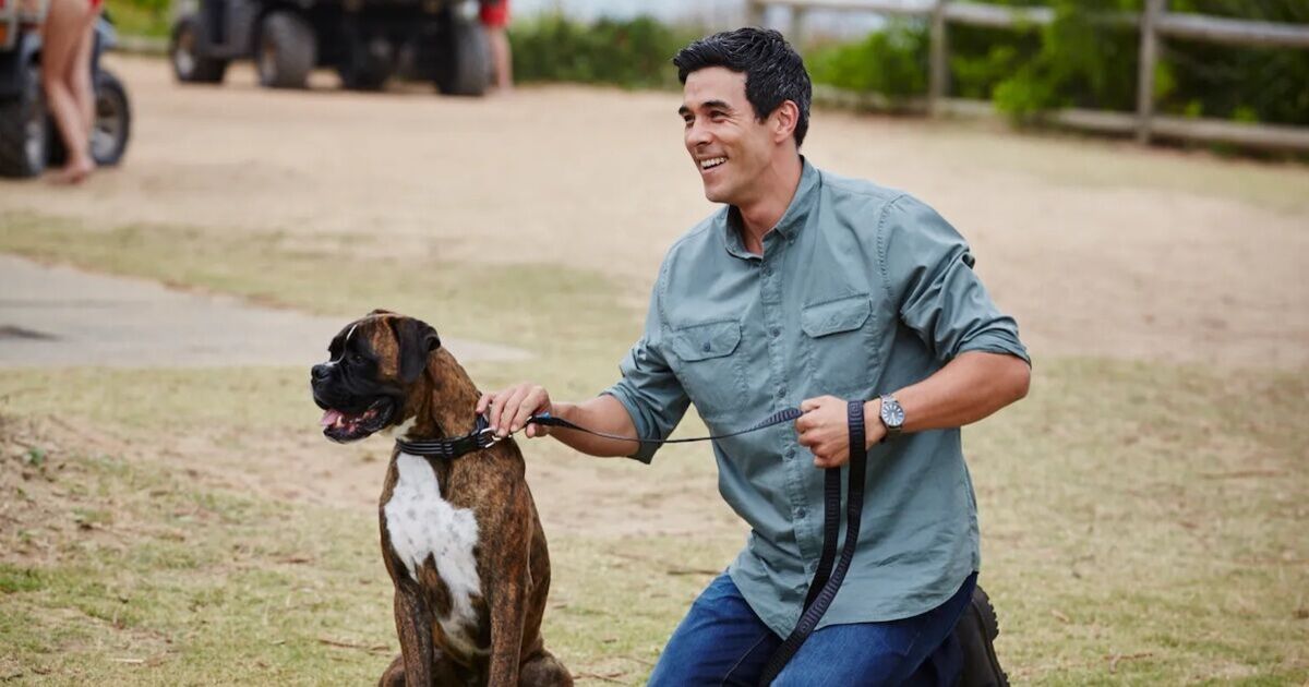 Home and Away star dies 'suddenly' as cast pay tribute | UK News