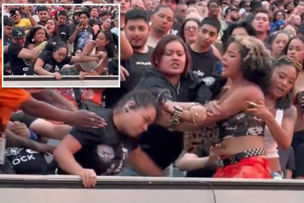 Brawl breaks out between fans during Sunday | Sports News