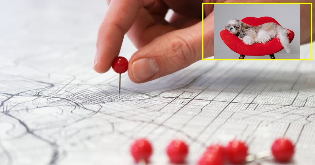 Instagram Map feature poses significant safety and privacy risks that could endanger kids, state AGs warn