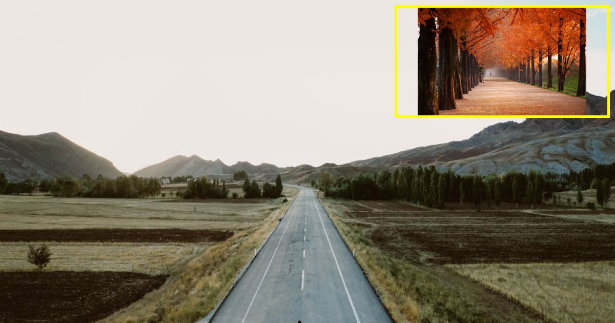 This is how far the average American doomscrolls — its a lot