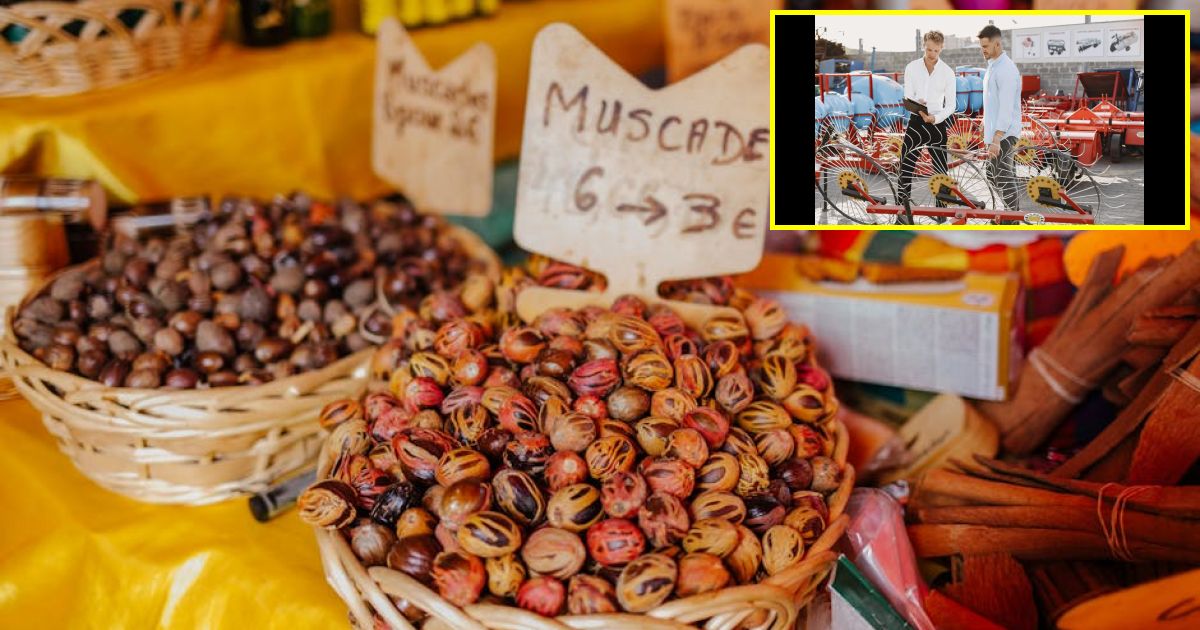 Chipmaker TSMC uncovers potential trade secrets theft, three arrested in Taiwan