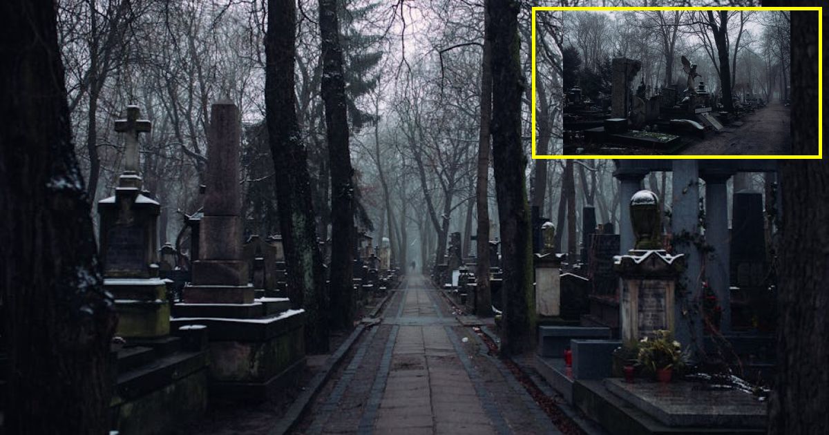 Experts warn of 'grave danger' as cases of 'nightmare bacteria' rise -...