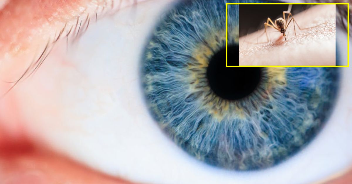 Malaria could see 'deadliest resurgence ever' scientists warn - Health...