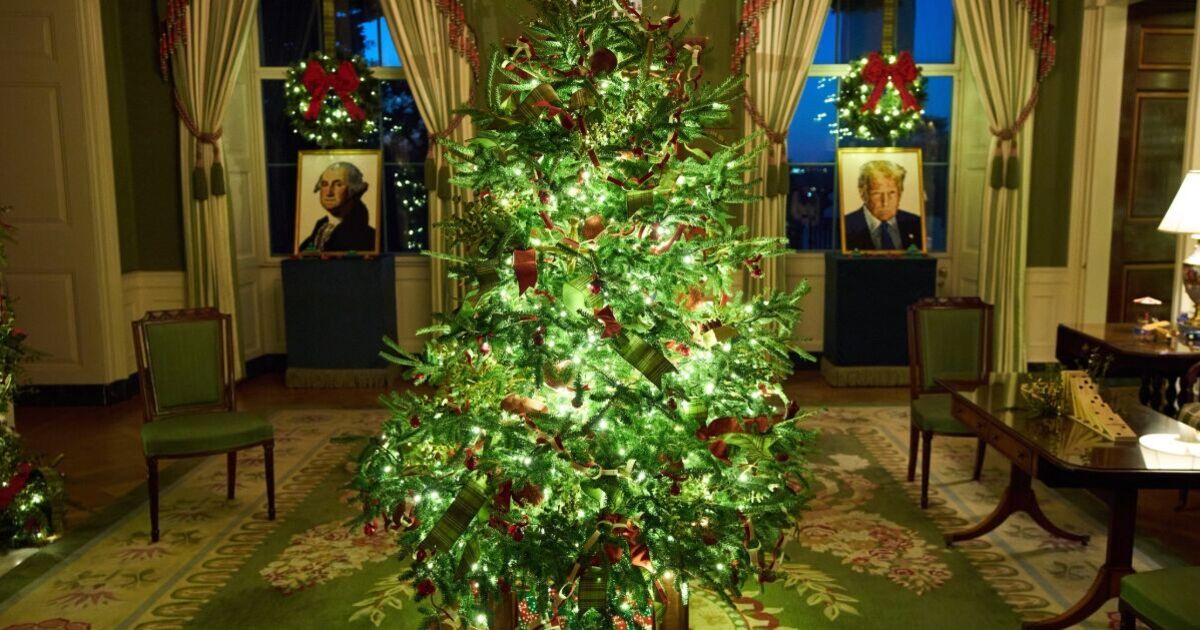 12 photos of White House Christmas decorations as | Political News